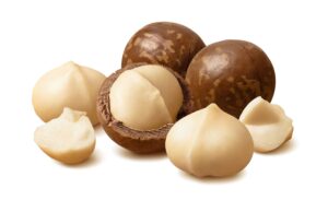 In-shell Macadamia Nuts