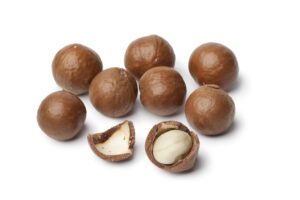 small in-shell macadamia nuts